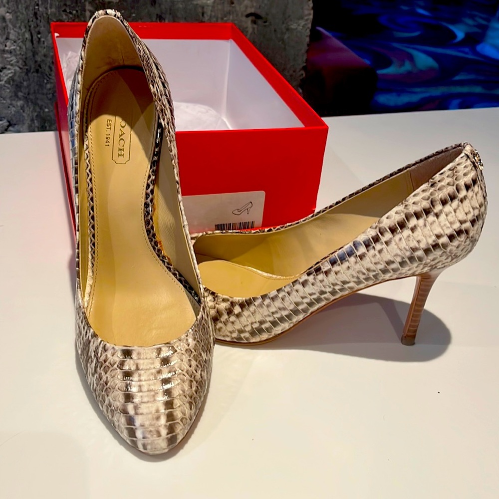 Coach Snake Skin heels - sz 8